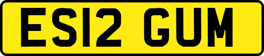 ES12GUM