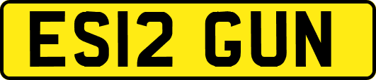 ES12GUN