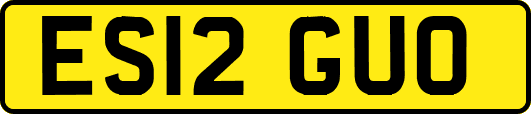 ES12GUO