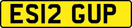 ES12GUP