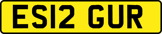 ES12GUR