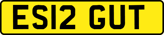 ES12GUT