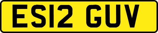 ES12GUV
