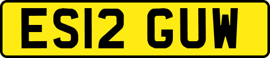 ES12GUW