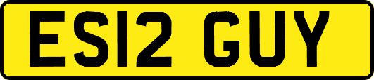 ES12GUY