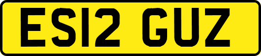 ES12GUZ