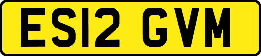 ES12GVM