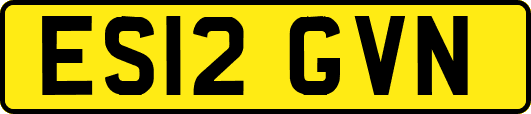 ES12GVN