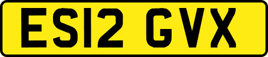 ES12GVX