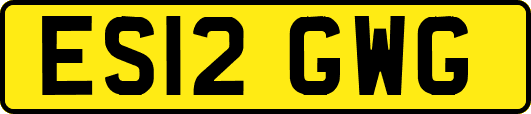 ES12GWG