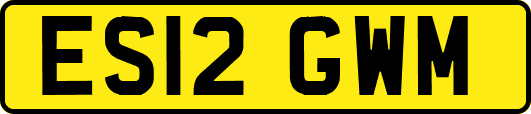 ES12GWM