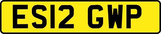 ES12GWP