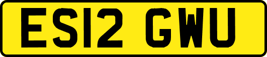 ES12GWU