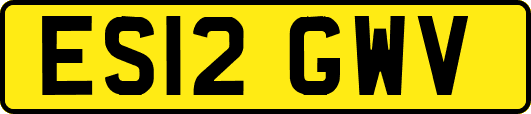 ES12GWV
