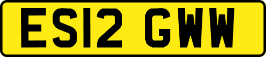 ES12GWW