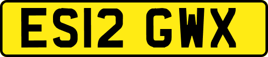 ES12GWX