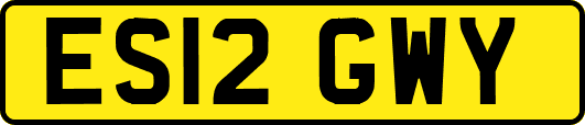 ES12GWY