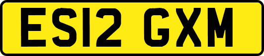 ES12GXM