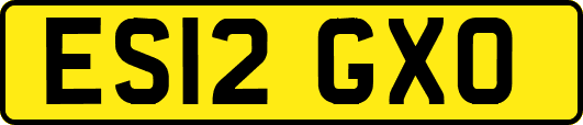 ES12GXO