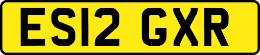 ES12GXR