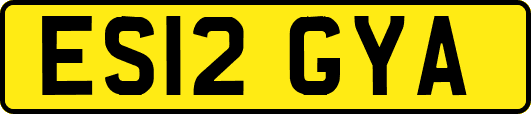 ES12GYA