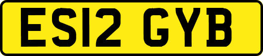 ES12GYB