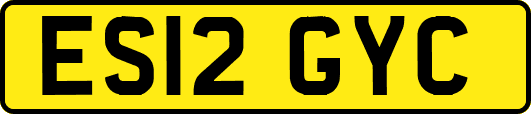 ES12GYC
