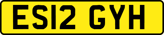 ES12GYH
