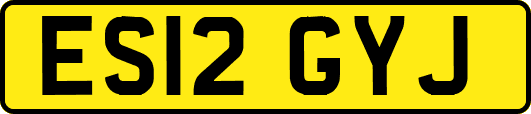 ES12GYJ