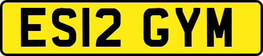 ES12GYM