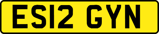 ES12GYN