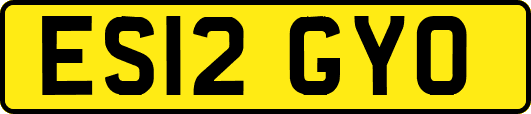 ES12GYO