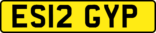 ES12GYP