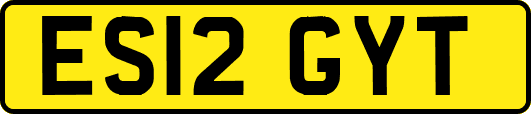ES12GYT