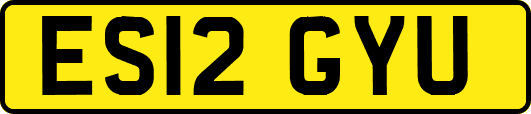 ES12GYU