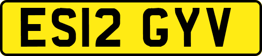 ES12GYV