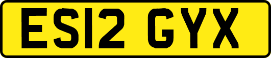 ES12GYX