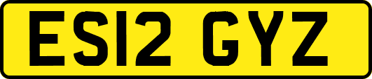 ES12GYZ