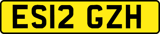 ES12GZH