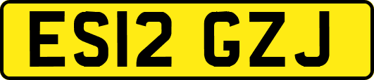 ES12GZJ