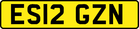 ES12GZN
