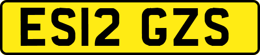 ES12GZS