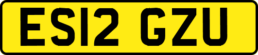ES12GZU