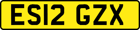 ES12GZX