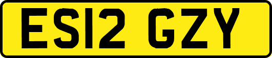 ES12GZY