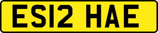ES12HAE