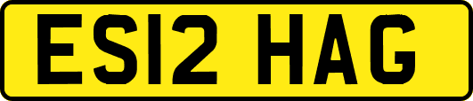 ES12HAG