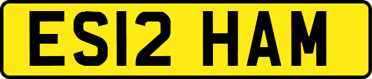 ES12HAM
