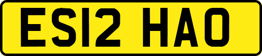 ES12HAO