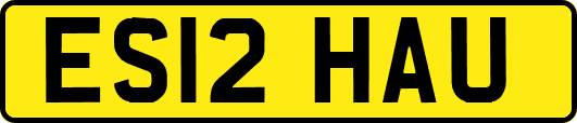 ES12HAU